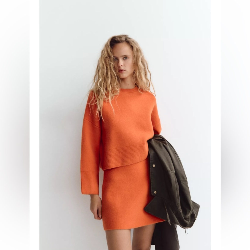 Zara Knit Sweater and Skirt Set